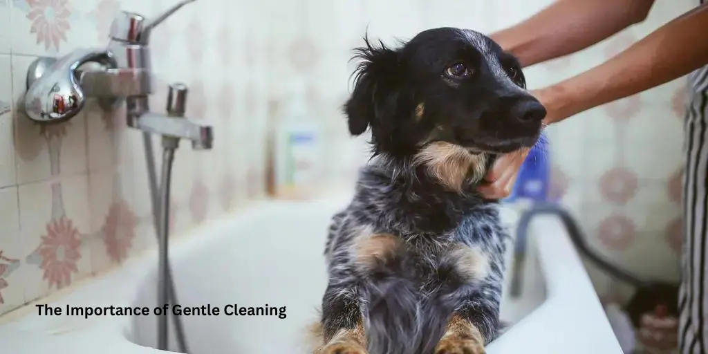 The Importance of Gentle Cleaning