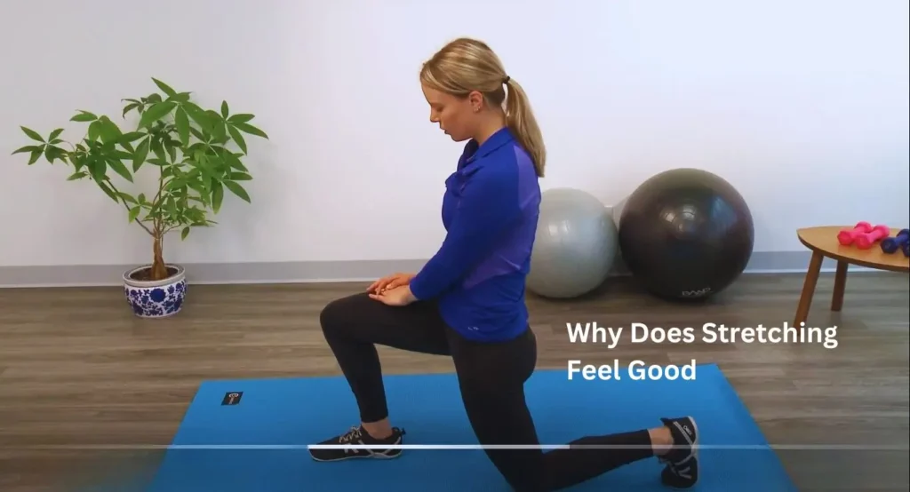 Why Does Stretching Feel Good