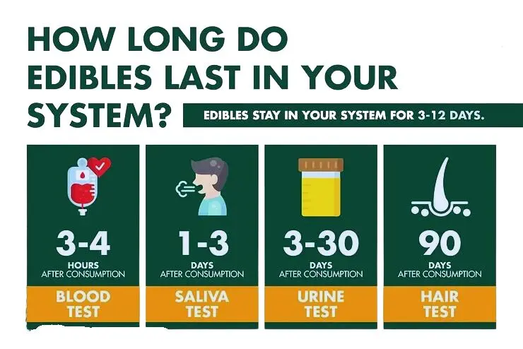 How Long Do Edibles Stay in Your Hair?